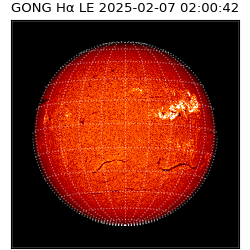gong - 2025-02-07T02:00:42