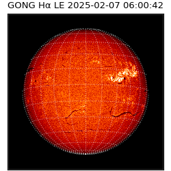 gong - 2025-02-07T06:00:42