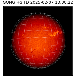 gong - 2025-02-07T13:00:22