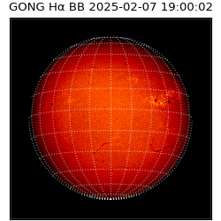 gong - 2025-02-07T19:00:02