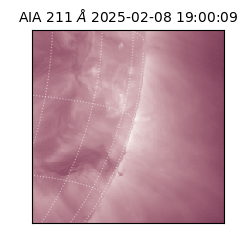 saia - 2025-02-08T19:00:09.632000