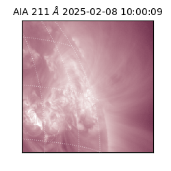saia - 2025-02-08T10:00:09.626000