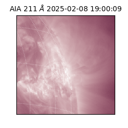saia - 2025-02-08T19:00:09.632000