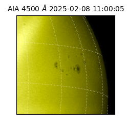 saia - 2025-02-08T11:00:05.962000