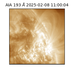 saia - 2025-02-08T11:00:04.846000