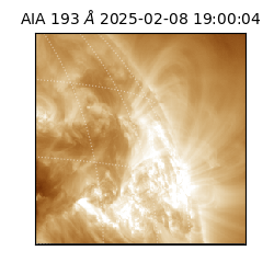 saia - 2025-02-08T19:00:04.843000