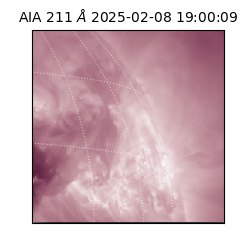 saia - 2025-02-08T19:00:09.632000