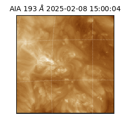 saia - 2025-02-08T15:00:04.843000