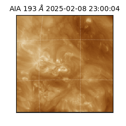 saia - 2025-02-08T23:00:04.843000