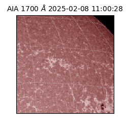 saia - 2025-02-08T11:00:28.722000