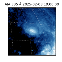 saia - 2025-02-08T19:00:00.626000