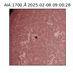 saia - 2025-02-08T09:00:28.718000