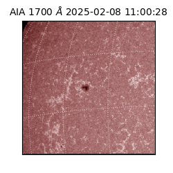 saia - 2025-02-08T11:00:28.722000