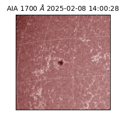 saia - 2025-02-08T14:00:28.742000
