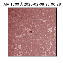 saia - 2025-02-08T23:00:28.718000