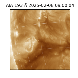 saia - 2025-02-08T09:00:04.843000