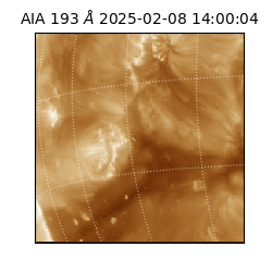 saia - 2025-02-08T14:00:04.843000