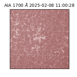 saia - 2025-02-08T11:00:28.722000