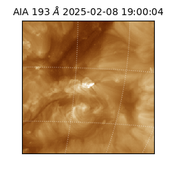 saia - 2025-02-08T19:00:04.843000