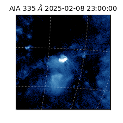 saia - 2025-02-08T23:00:00.622000