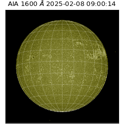 saia - 2025-02-08T09:00:14.126000