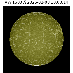 saia - 2025-02-08T10:00:14.126000