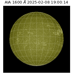 saia - 2025-02-08T19:00:14.126000
