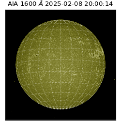 saia - 2025-02-08T20:00:14.126000