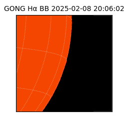 gong - 2025-02-08T20:06:02
