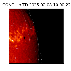 gong - 2025-02-08T10:00:22