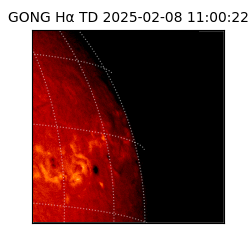 gong - 2025-02-08T11:00:22