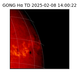 gong - 2025-02-08T14:00:22