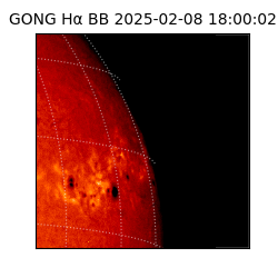 gong - 2025-02-08T18:00:02