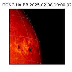gong - 2025-02-08T19:00:02