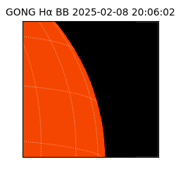 gong - 2025-02-08T20:06:02