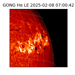 gong - 2025-02-08T07:00:42