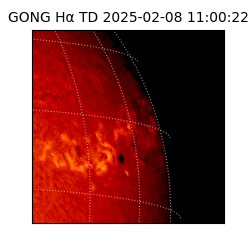 gong - 2025-02-08T11:00:22