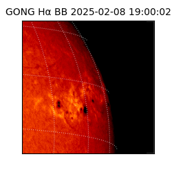 gong - 2025-02-08T19:00:02