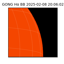 gong - 2025-02-08T20:06:02