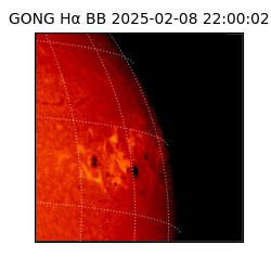 gong - 2025-02-08T22:00:02