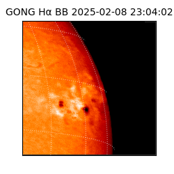 gong - 2025-02-08T23:04:02