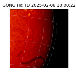 gong - 2025-02-08T10:00:22