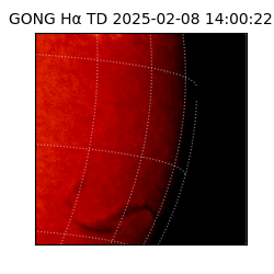 gong - 2025-02-08T14:00:22