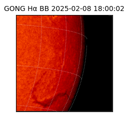 gong - 2025-02-08T18:00:02