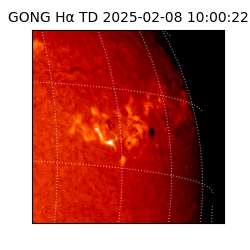 gong - 2025-02-08T10:00:22