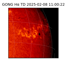 gong - 2025-02-08T11:00:22
