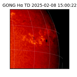 gong - 2025-02-08T15:00:22