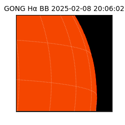 gong - 2025-02-08T20:06:02