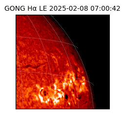 gong - 2025-02-08T07:00:42