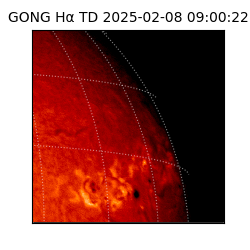 gong - 2025-02-08T09:00:22